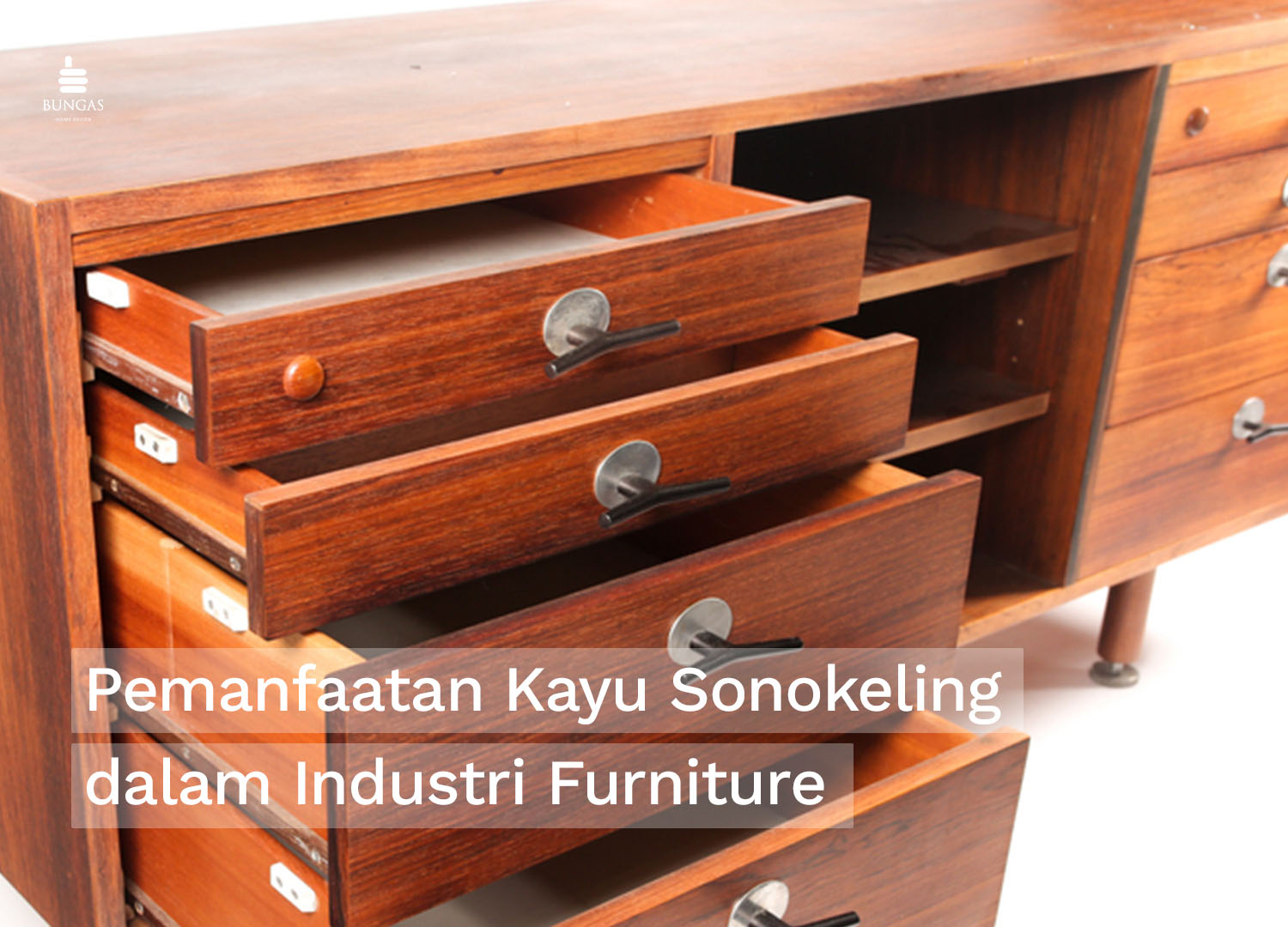 Read more about the article Pemanfaatan Kayu Sonokeling dalam Industri Furniture