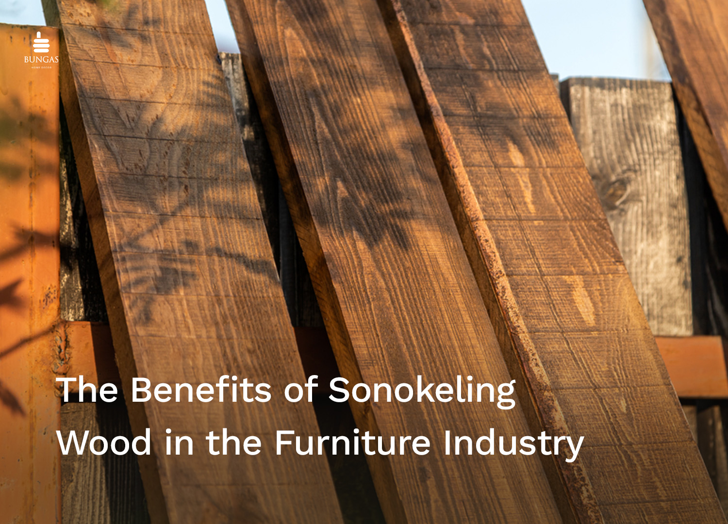 You are currently viewing The Benefits of Sonokeling Wood in the Furniture Industry