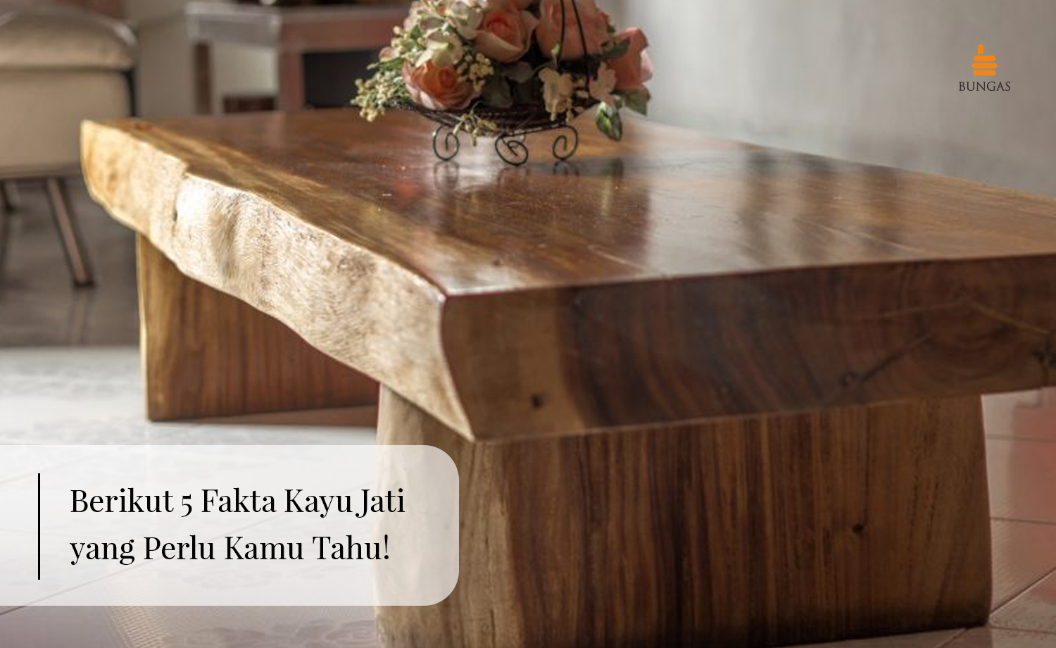 You are currently viewing Berikut 5 Fakta Kayu Jati yang Perlu Kamu Tahu!