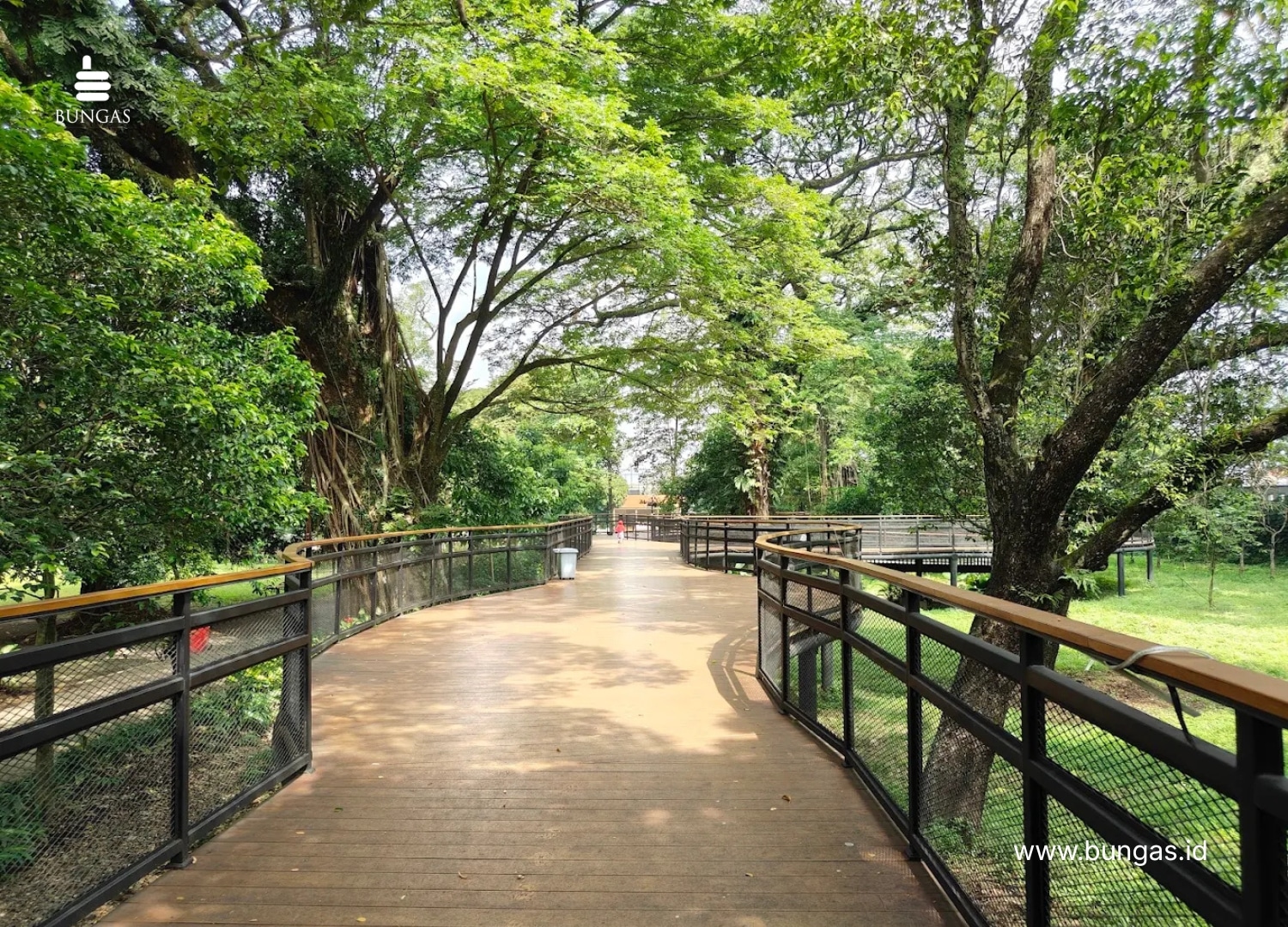 You are currently viewing 5 Rekomendasi Taman Gratis di Solo yang Wajib Dikunjungi